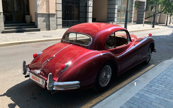 
            Редкий спортивный Jaguar 1956 года выставили на продажу за ₽9 млн
        