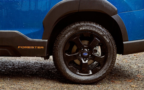 
            Subaru представила Forester для тяжелого бездорожья
        
