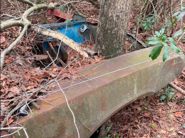 
            В США в лесу нашли заброшенный автосалон со старыми машинами. Фото
        