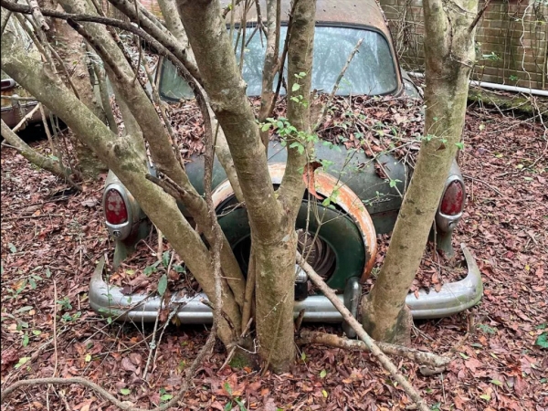
            В США в лесу нашли заброшенный автосалон со старыми машинами. Фото
        