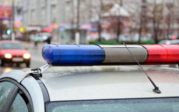 
            В Екатеринбурге полицейские не будут ремонтировать служебные иномарки
        