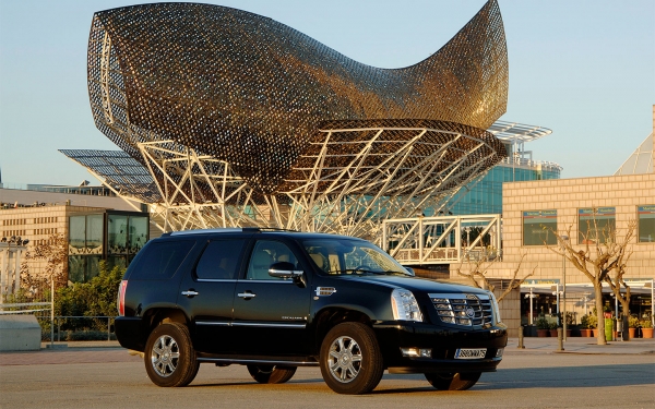 
            GM отзовет более 11 тыс. внедорожников Cadillac и Chevrolet в России
        
