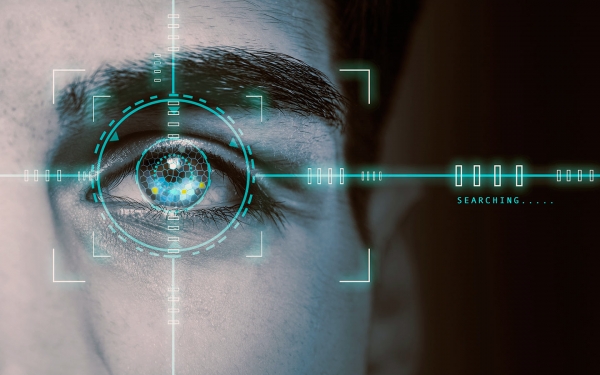 
            В Hyundai запатентовали сканер глаза водителя
        