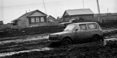 
            АвтоВАЗ рассказал о происхождении названия внедорожника Lada Niva
        