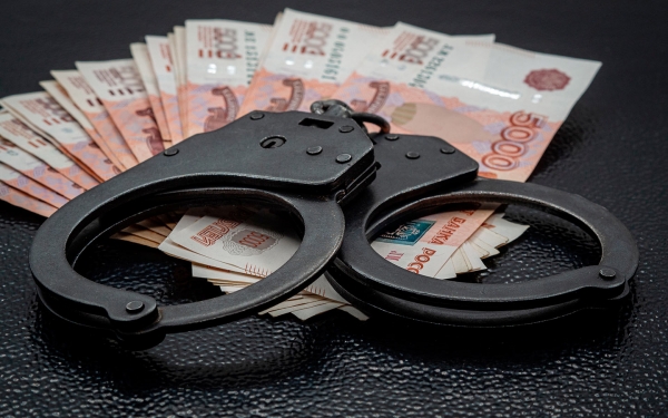 
            Полиция задержала более 10 инспекторов ГИБДД за взятки и подделку штрафов
        