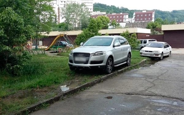 
            ГИБДД призвала сообщать о паркующихся на газонах водителях
        